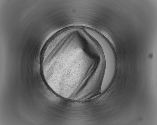 X0000091981076200709271422