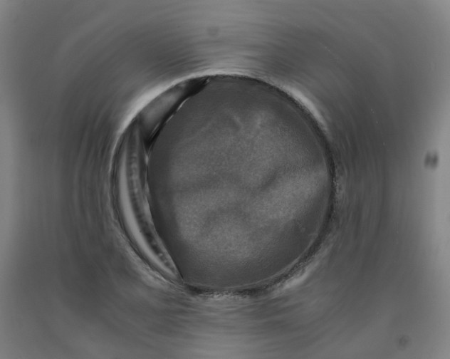 X0000091981077200709271422