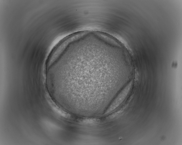 X0000091981078200709271422