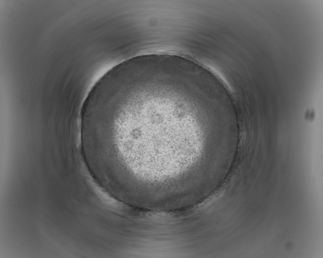 X0000091981079200709271422