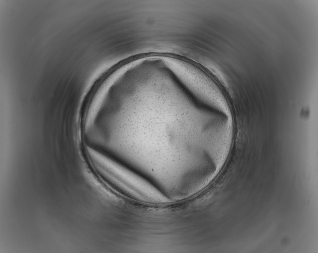 X0000091981080200709271422