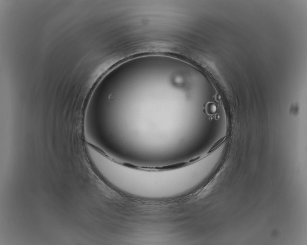 X0000091981081200709271422