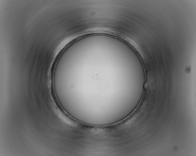 X0000091981082200709271422