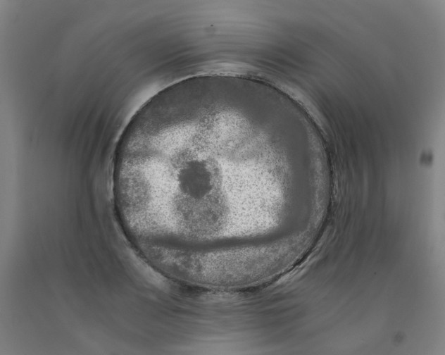 X0000091981083200709271422