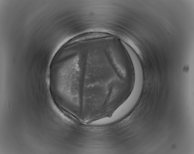 X0000091981084200709271422