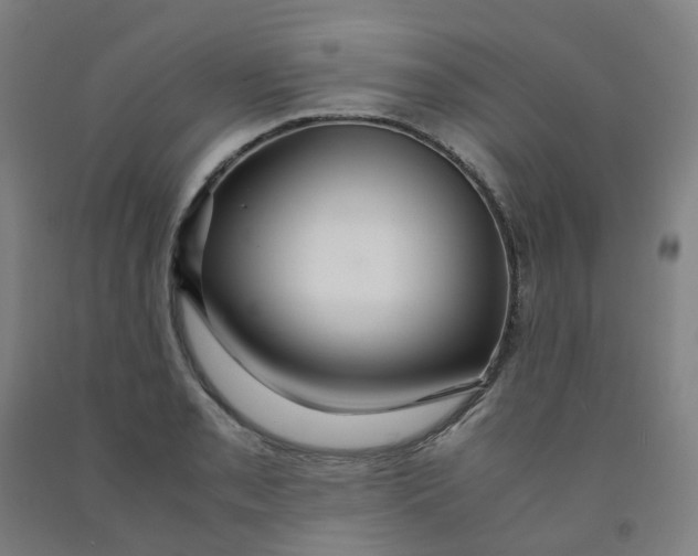 X0000091981085200709271422