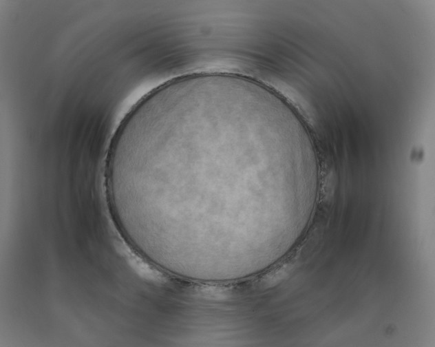 X0000091981086200709271422