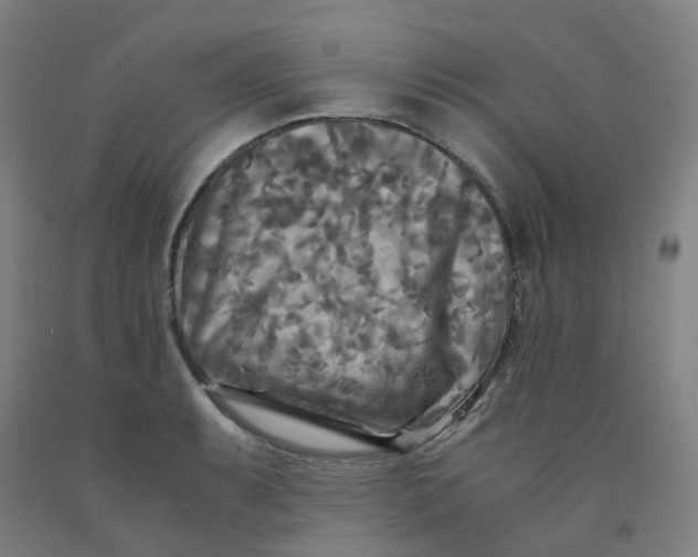 X0000091981087200709271422