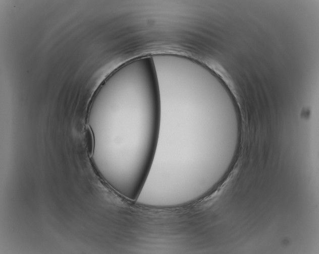 X0000091981089200709271422