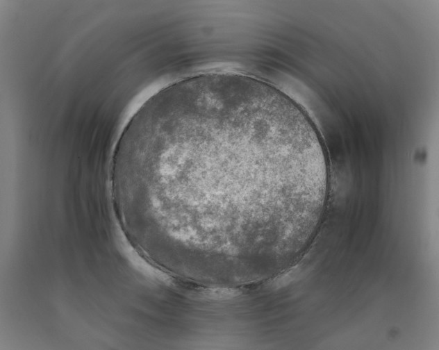 X0000091981090200709271422