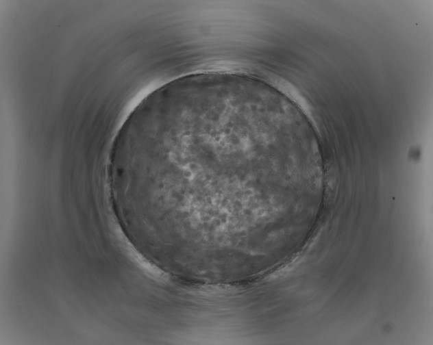 X0000091981091200709271422