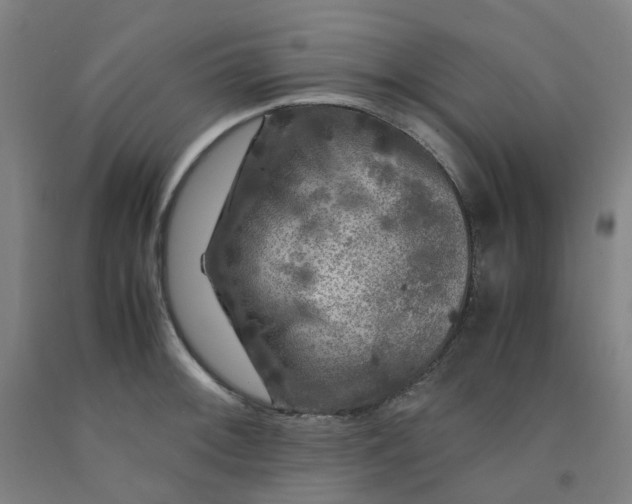 X0000091981092200709271422