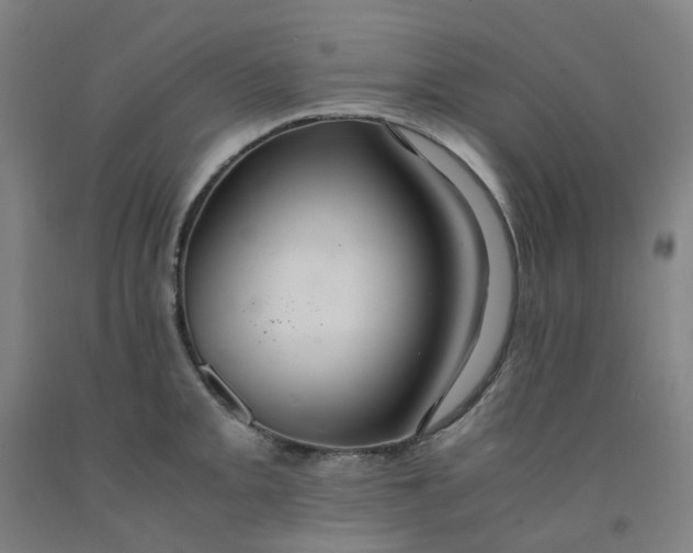 X0000091981093200709271422