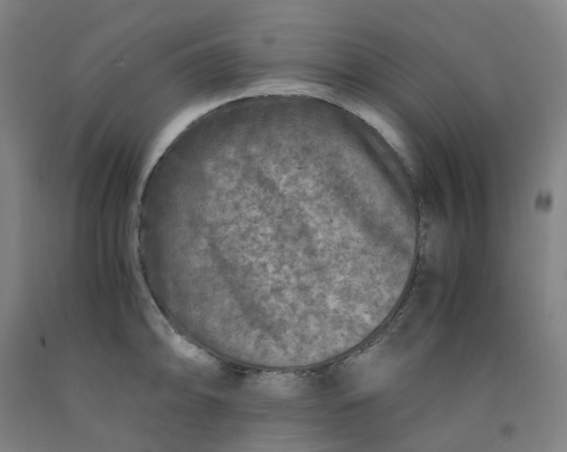 X0000091981094200709271422