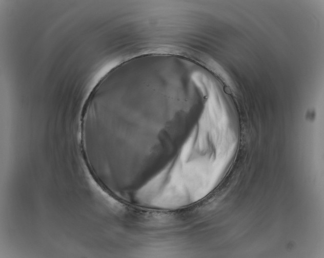 X0000091981095200709271422