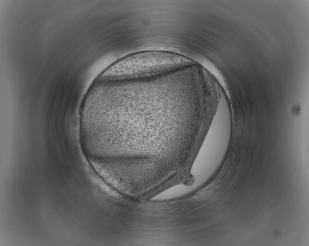 X0000091981096200709271422