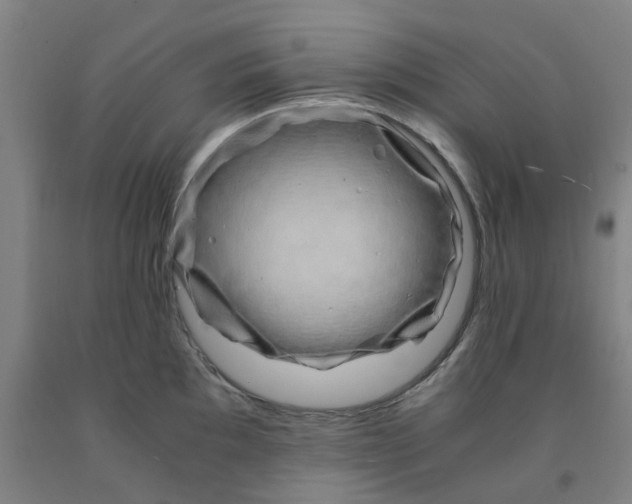 X0000091981097200709271422