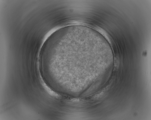 X0000091981098200709271422