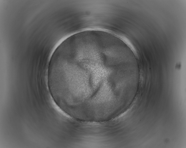 X0000091981100200709271422