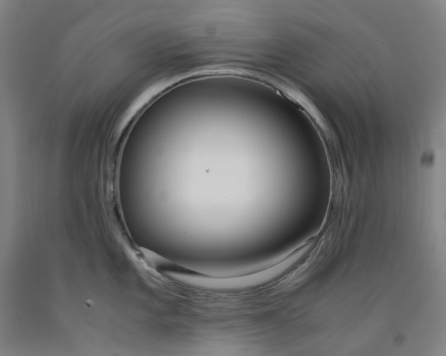 X0000091981101200709271422