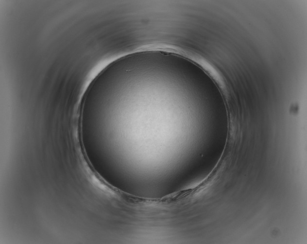 X0000091981102200709271422