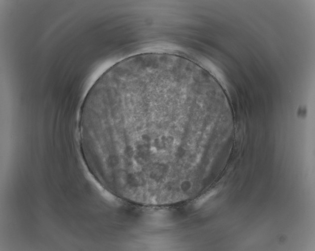 X0000091981103200709271422