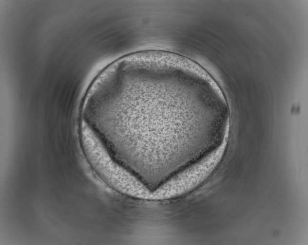 X0000091981104200709271422