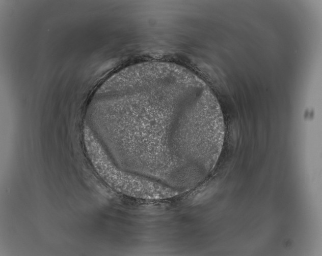 X0000091981105200709271421