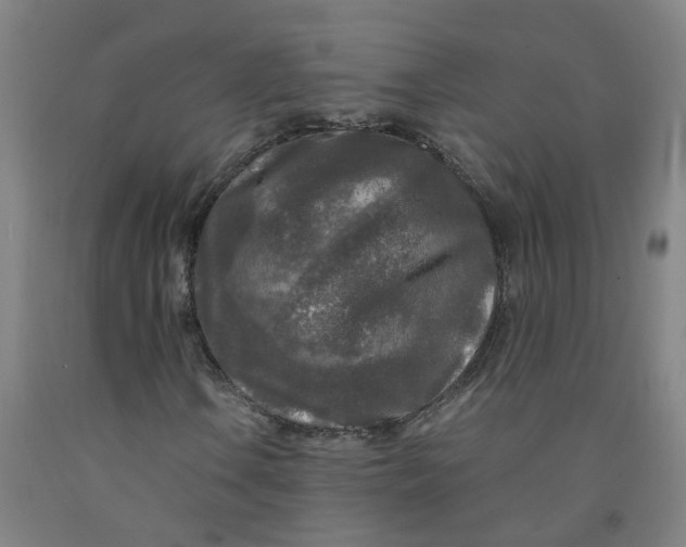 X0000091981106200709271421