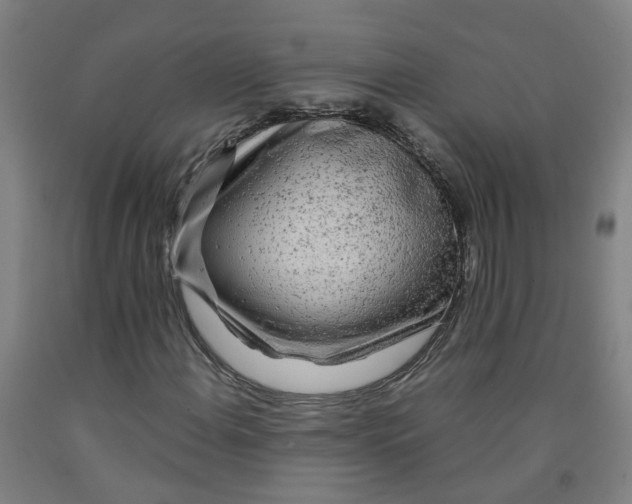 X0000091981108200709271421