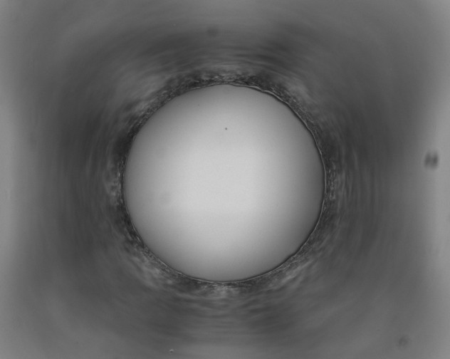 X0000091981109200709271421