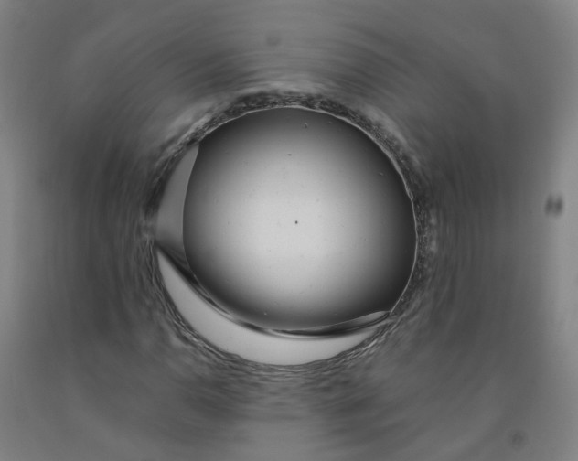 X0000091981110200709271421