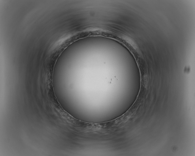 X0000091981111200709271421