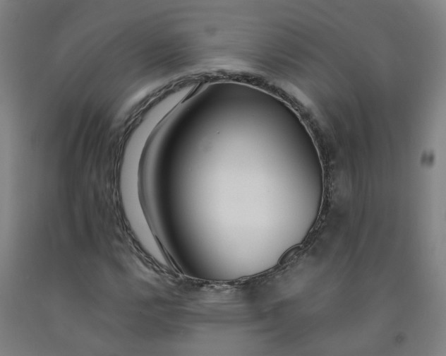 X0000091981112200709271421