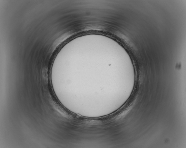 X0000091981113200709271421