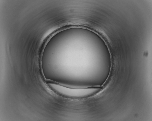 X0000091981114200709271421