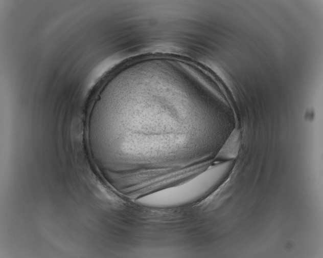 X0000091981115200709271421