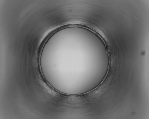 X0000091981116200709271421