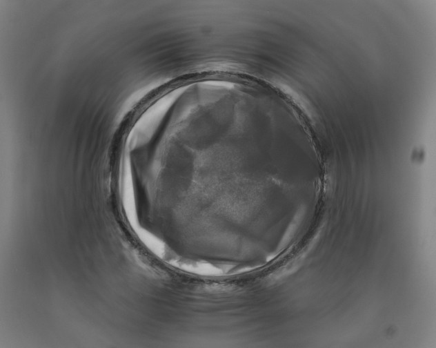 X0000091981117200709271421