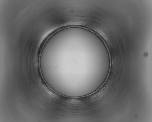 X0000091981119200709271421