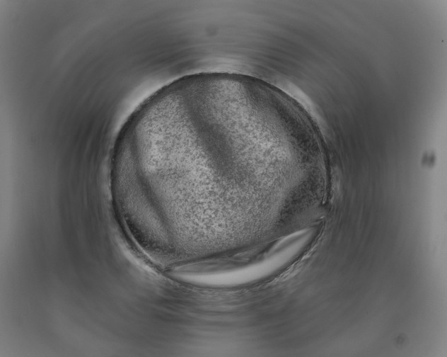 X0000091981120200709271421