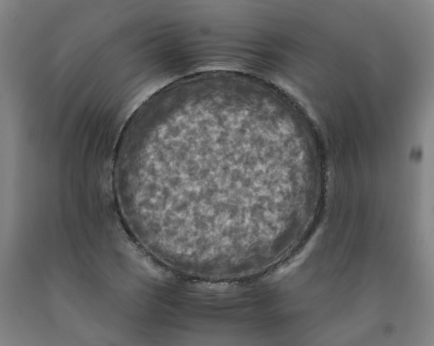 X0000091981121200709271421