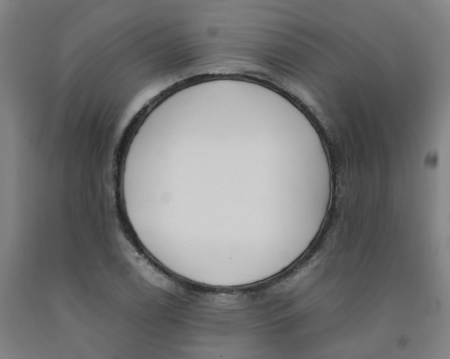 X0000091981122200709271422