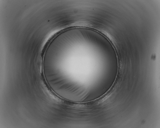 X0000091981123200709271422