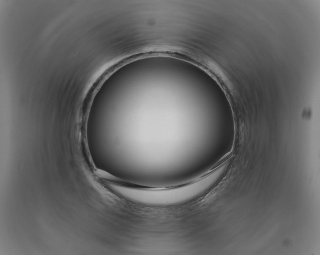 X0000091981124200709271422