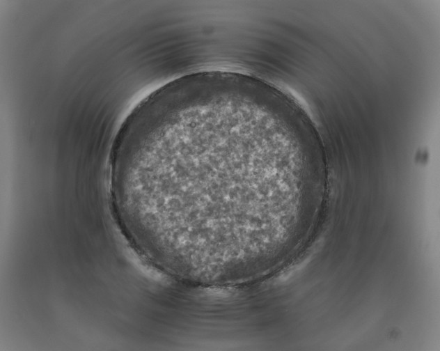 X0000091981125200709271422