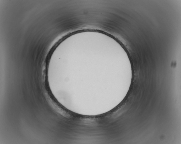 X0000091981126200709271422