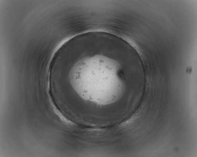 X0000091981127200709271422