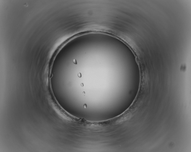 X0000091981128200709271422