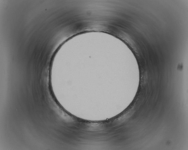 X0000091981130200709271422